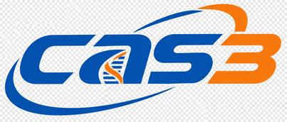 cas3